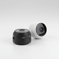 Mini Wlan Innenkamera - MagniCam