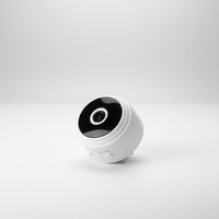Mini Wlan Innenkamera - MagniCam