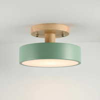 Minimalistisches Flaches Deckenleuchtenmodell - Woodluma