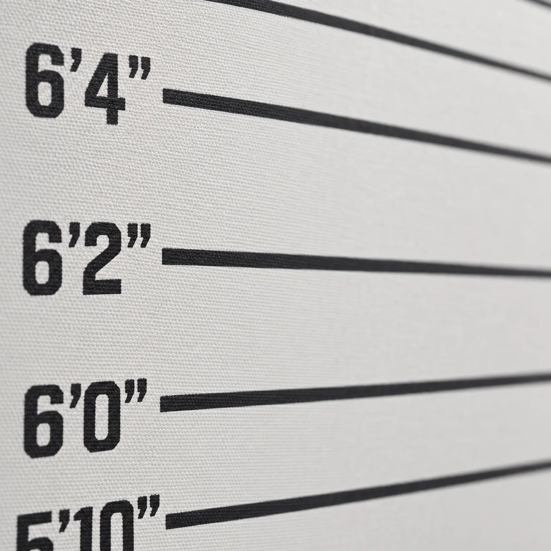 Mugshot Photography Backdrop - LineupPro