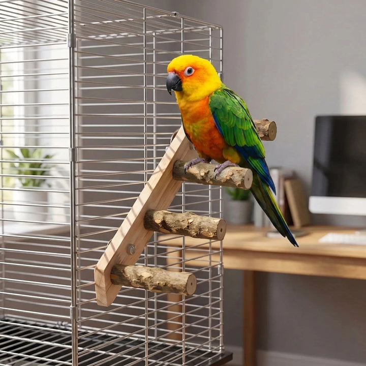 Yellow, orange and green parrot perched on a rung of the wooden ladder fixed to a wire cage in a home office. 2