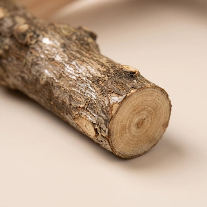 Close-up of one natural branch rung showing its rough bark and the pale growth rings on the cut end. 3