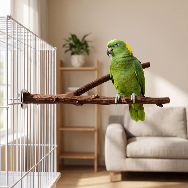 Green parrot with a yellow crown perched on the forked wooden branch, which is bolted to the bars of a white cage in a living room. 2