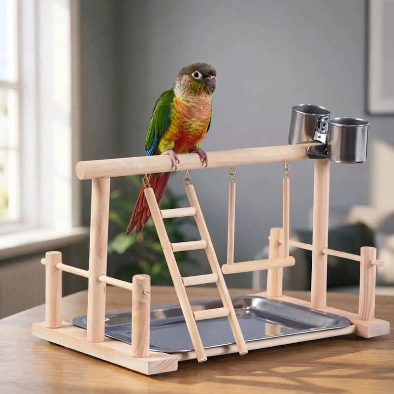 Green and orange conure perched on the top bar of the wooden playstand, set on a table in a bright room. 2