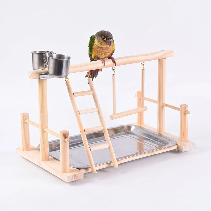 Conure sitting on the top perch of the natural wooden playstand against a plain light background, with ladder, swing, cups and tray. 5