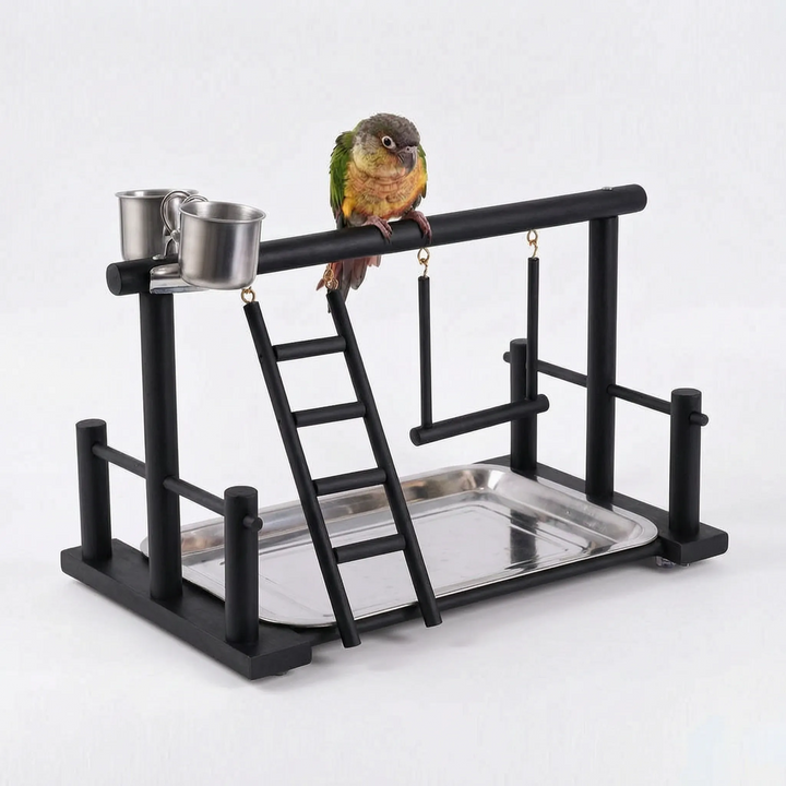 Black-finished version of the wooden playstand with a conure on the top perch, plus ladder, swing, steel cups and tray. 6