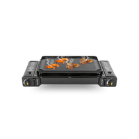 Portable Two-Burner Camping Stove - Campiq