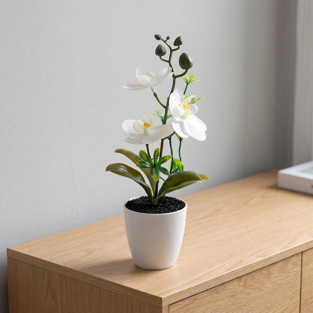 Potted Faux Butterfly Orchid - Nectaris
