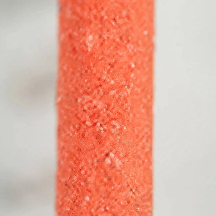 Close-up of the coarse, sandy orange surface of the perch, showing its rough grainy texture. 4