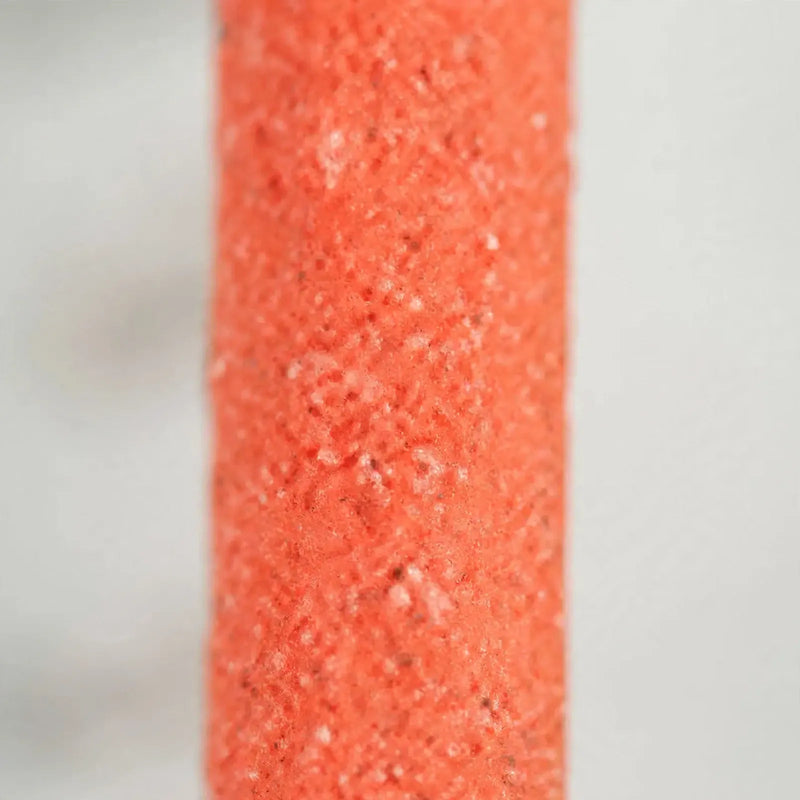 Close-up of the coarse, sandy orange surface of the perch, showing its rough grainy texture. 4