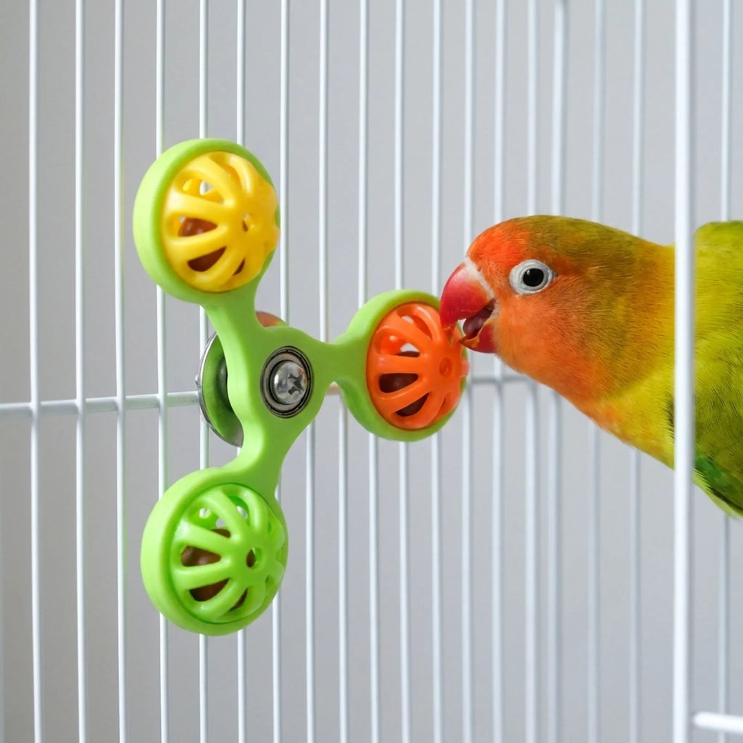 Close-up of a lovebird with an orange face pecking an orange ball on the green spinner, which is fixed to a white cage. 2