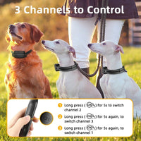 Electric Dog Training Collar with 1000m Remote & Waterproof Design – PetTrainer