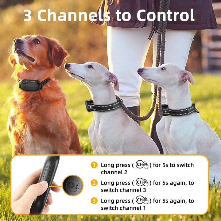 Electric Dog Training Collar with 1000m Remote & Waterproof Design – PetTrainer