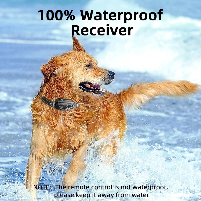 Electric Dog Training Collar with 1000m Remote & Waterproof Design – PetTrainer