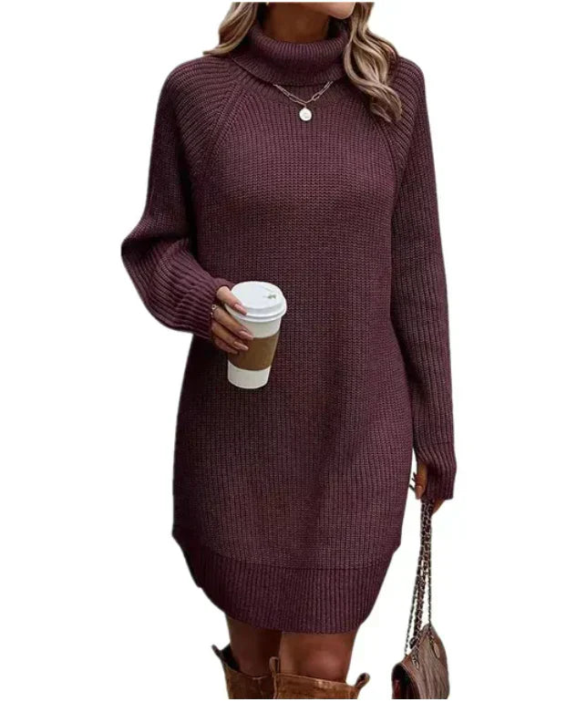 Autumnal knitted dress with a roll neck – Maris
