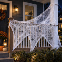 Spider Web Decoration - Arachnode