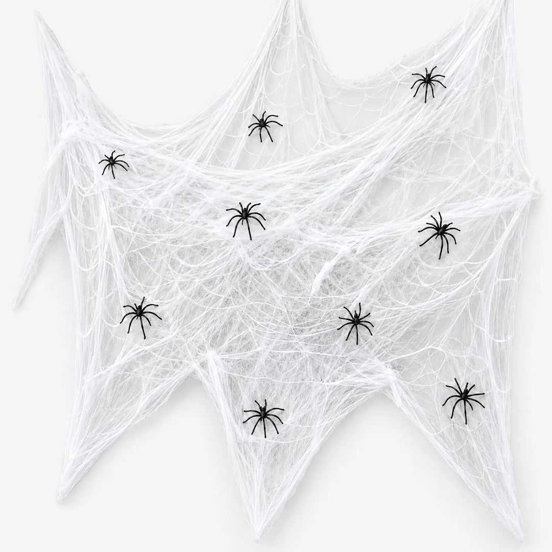 Spider Web Decoration - Arachnode