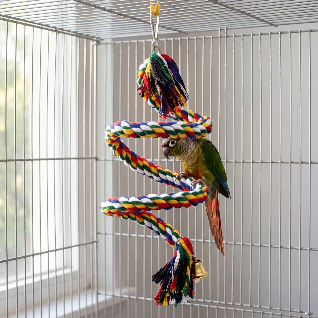 Small green parrot perched on the coiled rope spiral inside a wire cage, with the bell hanging at the bottom. 2