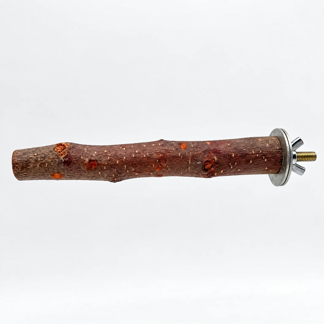 Natural wooden bird perch with textured bark, knots and a metal washer, wing nut and threaded bolt at one end, on white. 1