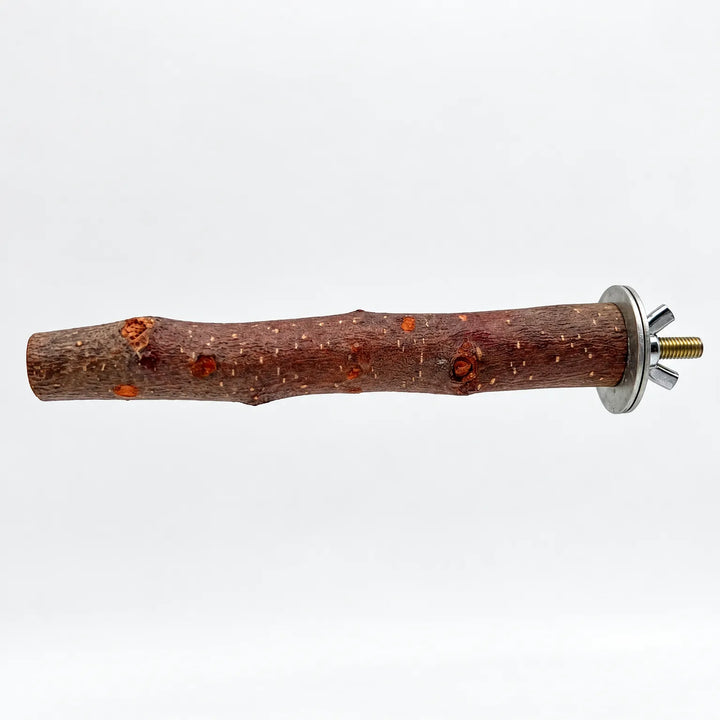 Natural wooden bird perch with textured bark, knots and a metal washer, wing nut and threaded bolt at one end, on white. 1