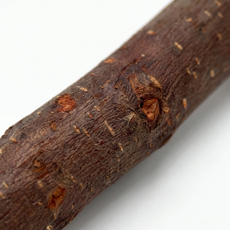 Close-up of the perch's rough bark, showing knots, small pits and the grainy texture birds can grip. 3