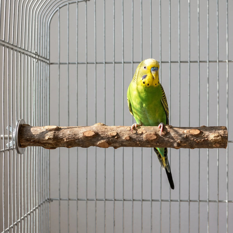 Green and yellow budgerigar standing on the knotted wooden perch fitted inside a cage, showing it in use. 2