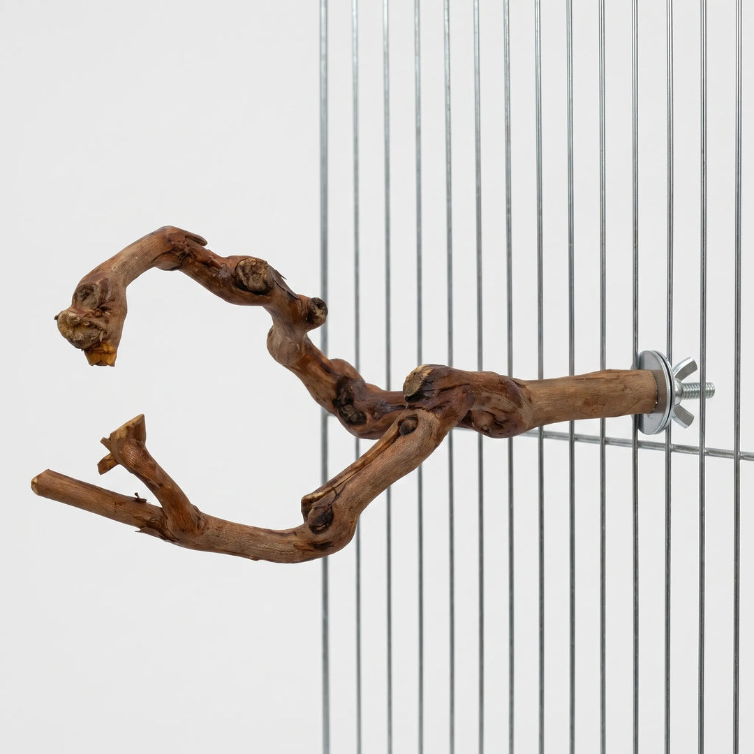 Forked, branching wooden perch with several knobbly twigs, attached to a wire cage with a metal washer and wing nut. 5
