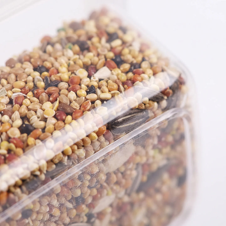 Close-up of the transparent plastic wall and rim of the feeder, showing mixed seeds packed inside. 3