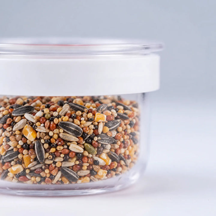 Close-up side view of the clear bowl and white band, filled with a mix of sunflower seeds, millet and grains. 3