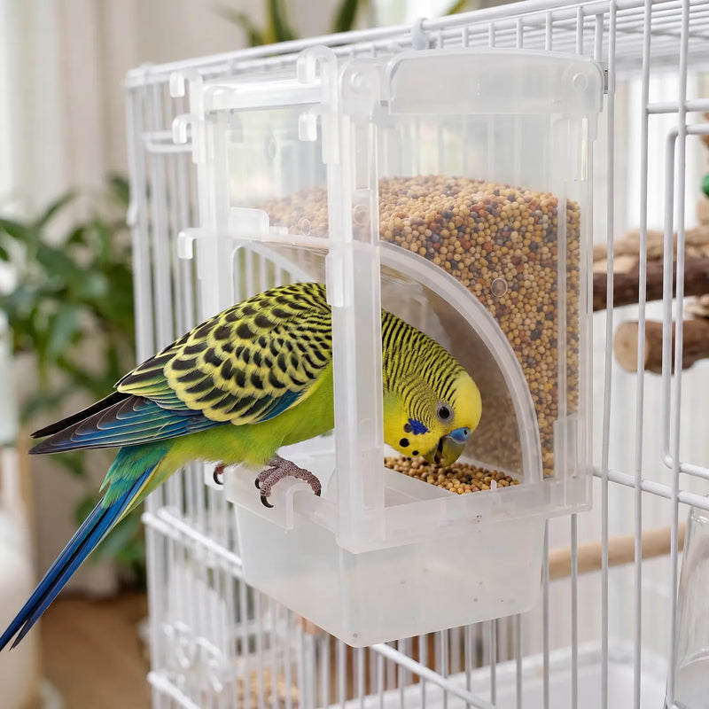 Clear plastic feeder filled with mixed seed, hung on a white cage while a green and yellow budgerigar eats from the tray. 2