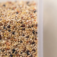 Close-up of mixed grains and seeds seen through the transparent wall of the feeder. 4