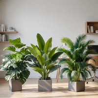 Unpotted Artificial Tropical Plant Set - Tropiqa