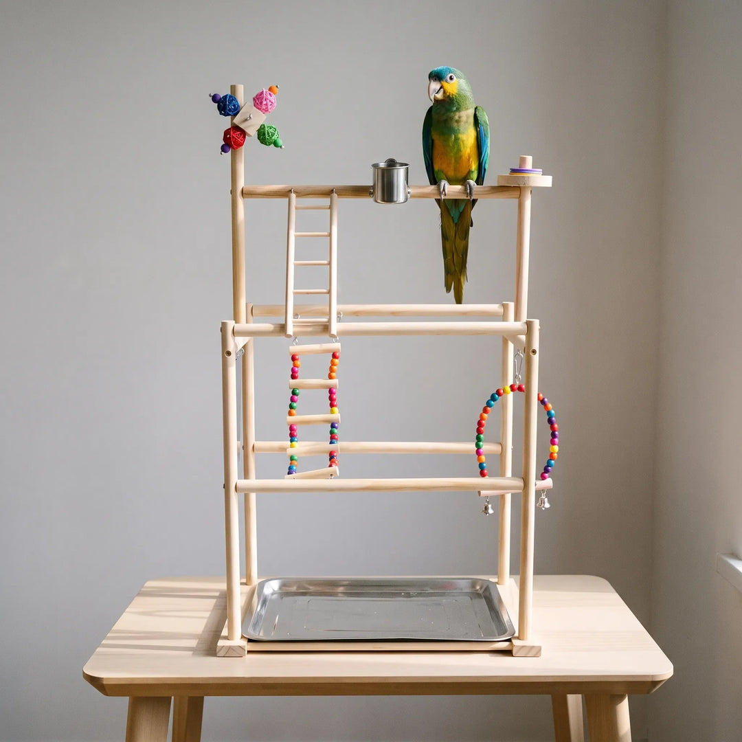 Wooden bird playground standing on a pale wooden table with a green and yellow parrot perched on the top bar. 2