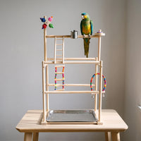 Wooden bird playground standing on a pale wooden table with a green and yellow parrot perched on the top bar. 2