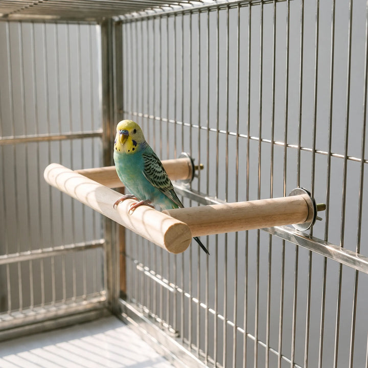 Budgie perched on the wooden perch, which is bolted inside a wire cage with metal washers on the outside. 2