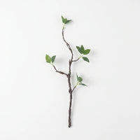 Wabi Sabi Faux Sprouting Twig - Twigdell