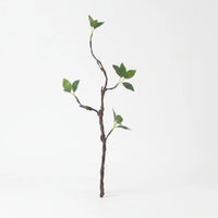 Wabi Sabi Faux Sprouting Twig - Twigdell