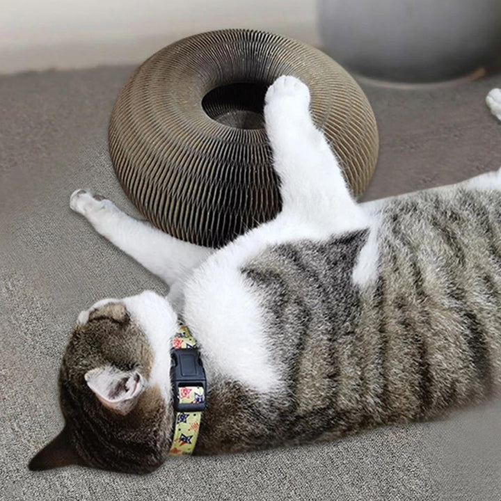 Active Playful Fun for your Cat - PurrFit-State of Style