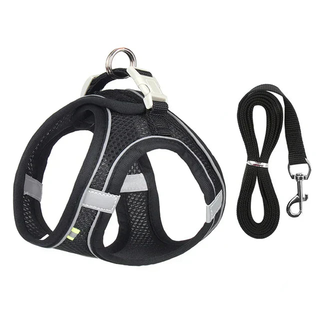 Adjustable Cat Harness with Leash – WhiskerWander-Black-XS - 0.5 to 3 kg-State of Style