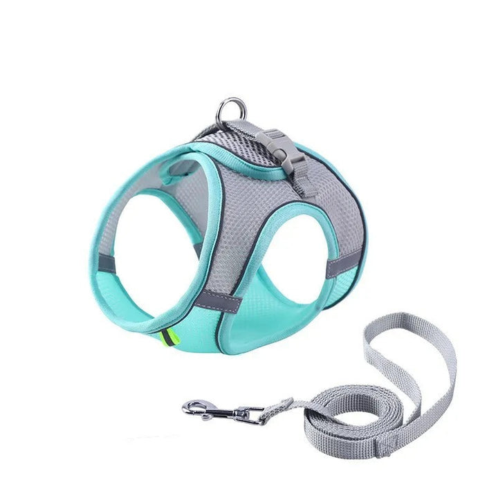 Adjustable Cat Harness with Leash – WhiskerWander-Blue-XS - 0.5 to 3 kg-State of Style