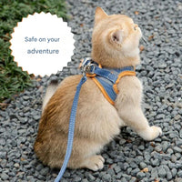Adjustable Cat Harness with Leash – WhiskerWander-Blue-XS - 0.5 to 3 kg-State of Style