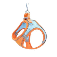 Adjustable Cat Harness with Leash – WhiskerWander-Orange-XS - 0.5 to 3 kg-State of Style