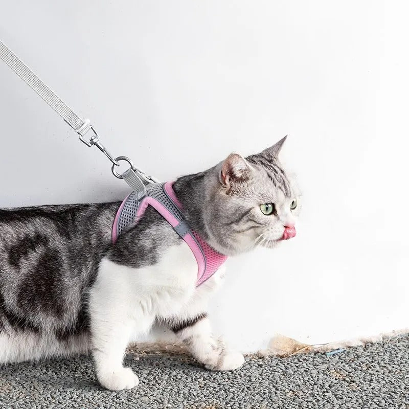 Adjustable Cat Harness with Leash – WhiskerWander-Pink-XS - 0.5 to 3 kg-State of Style