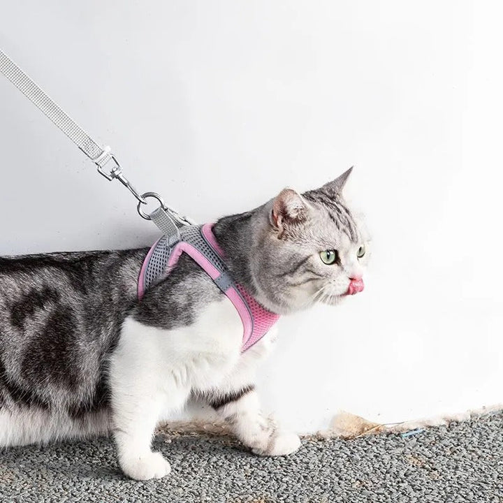 Adjustable Cat Harness with Leash – WhiskerWander-Pink-XS - 0.5 to 3 kg-State of Style