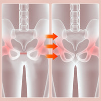 Adjustable Pelvic and Thigh Trainer - FlexFit Pro-Standard-Pink-State of Style