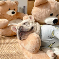 Adjustable SnuggleBear - The Ultimate Comfort for Your Pet-S-Khaki-State of Style