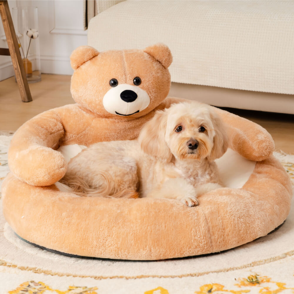 Adjustable Teddy Bear - SnuggleBear-Khaki-S-State of Style