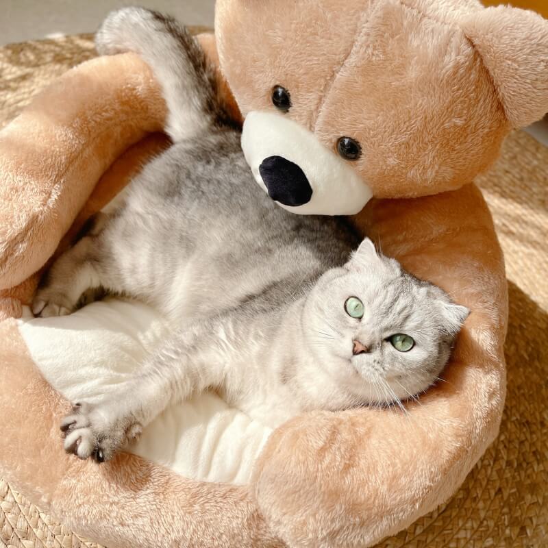 Adjustable Teddy Bear - SnuggleBear-Khaki-S-State of Style