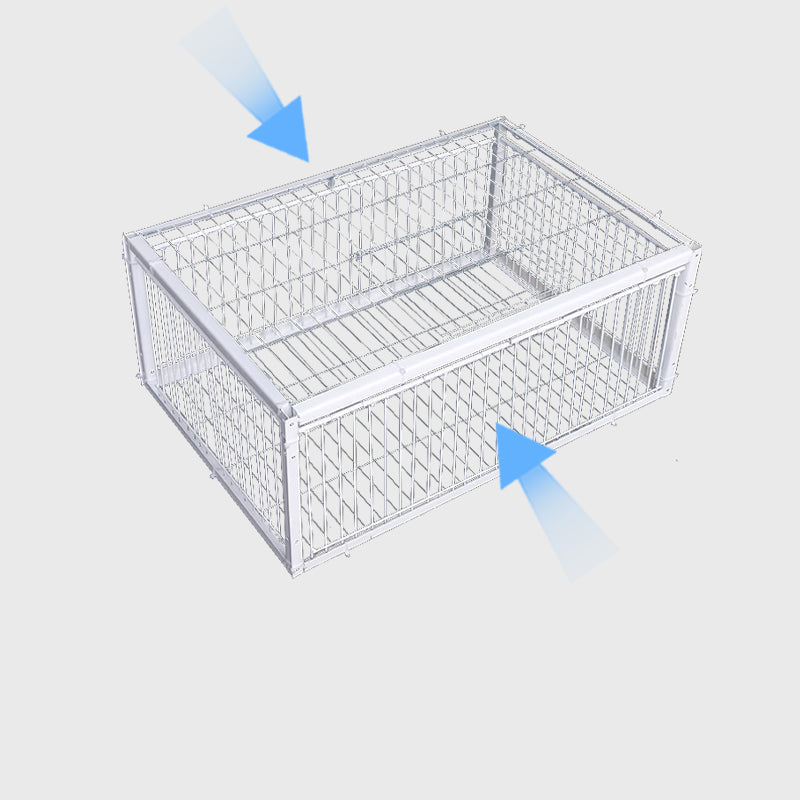 Animal-Friendly Bird Trap with Anti-Backlash Protection – BirdSafe Trap-2 Entrances-State of Style