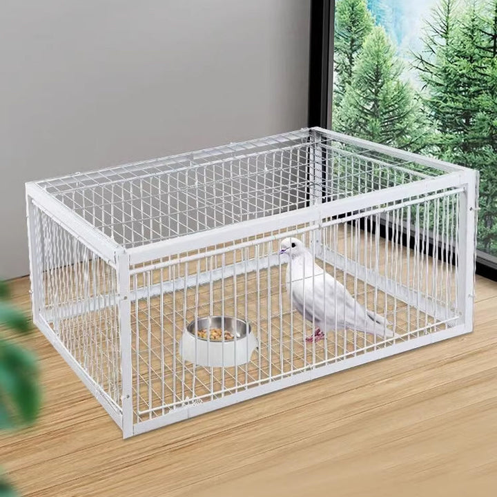 Animal-Friendly Bird Trap with Anti-Backlash Protection – BirdSafe Trap-2 Entrances-State of Style